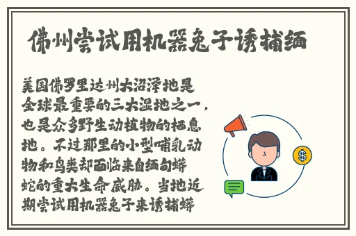 老师让我❌她喷出来了好爽的作文